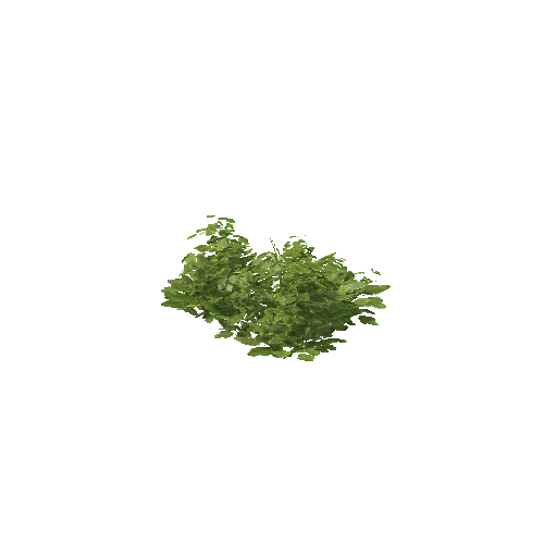 Plant 25_LOD_2